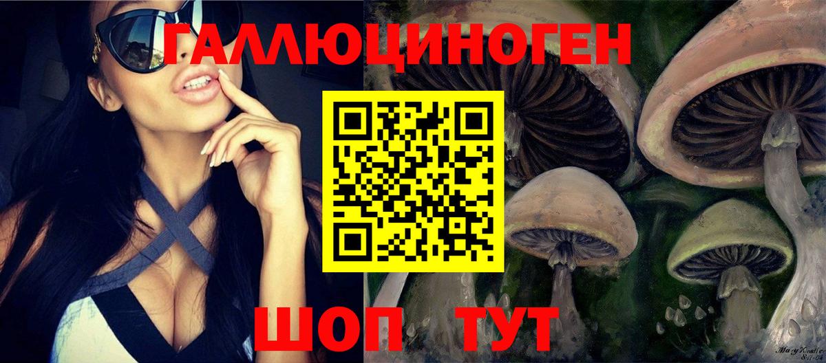 Галлюциногенные грибы MAGIC MUSHROOMS  Галлюциногенные грибы ЛСД  цена   Тосно  Вход с VPN 